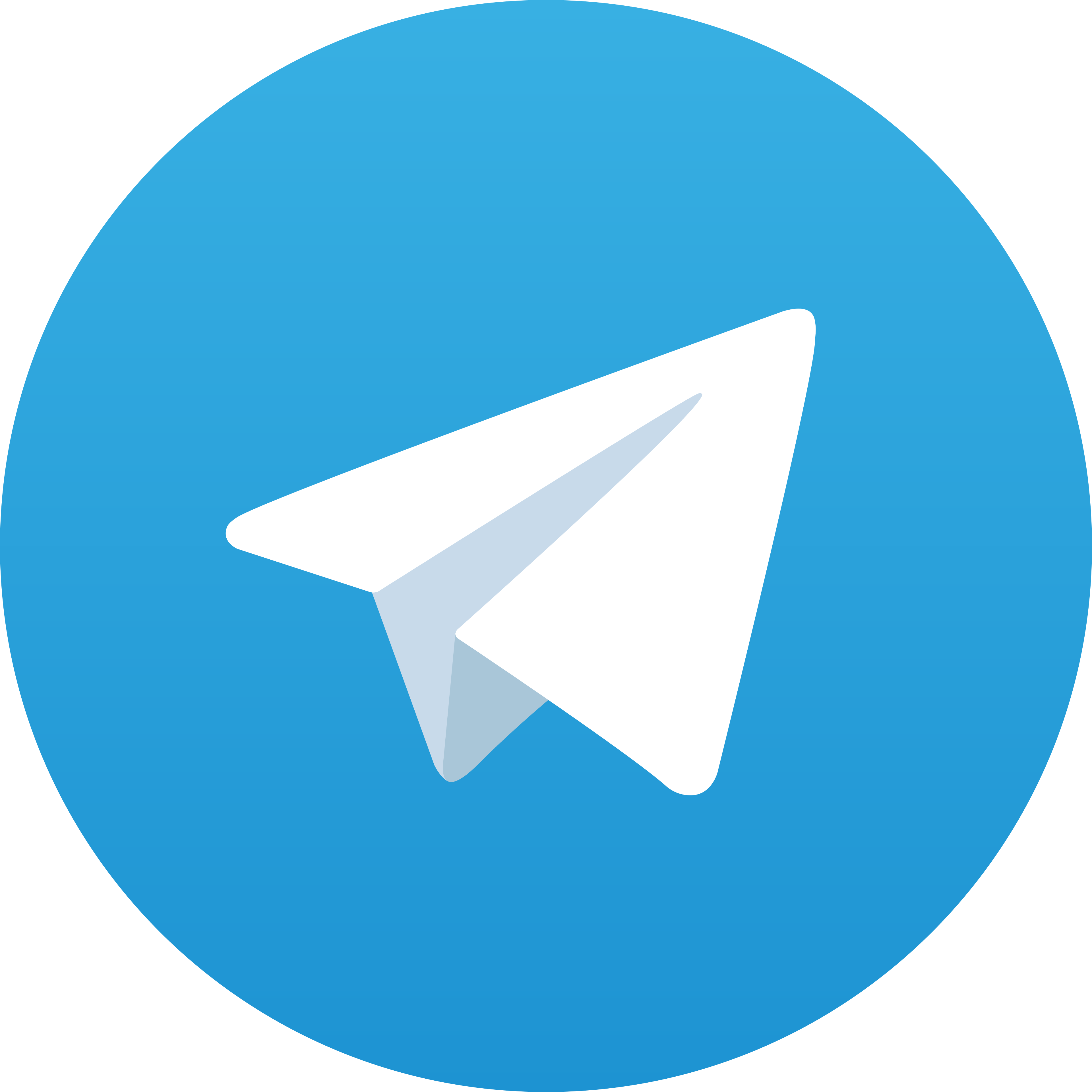 Telegram Biruselot